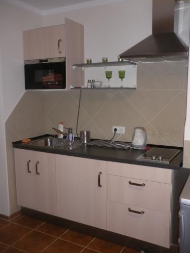 Apartament Krynica Eland Екстериор снимка